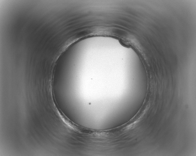 X0000070171041200606162051