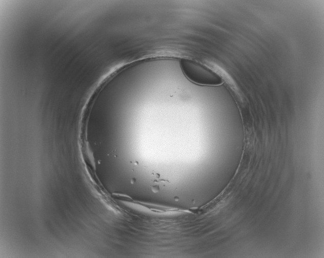 X0000070171043200606162051