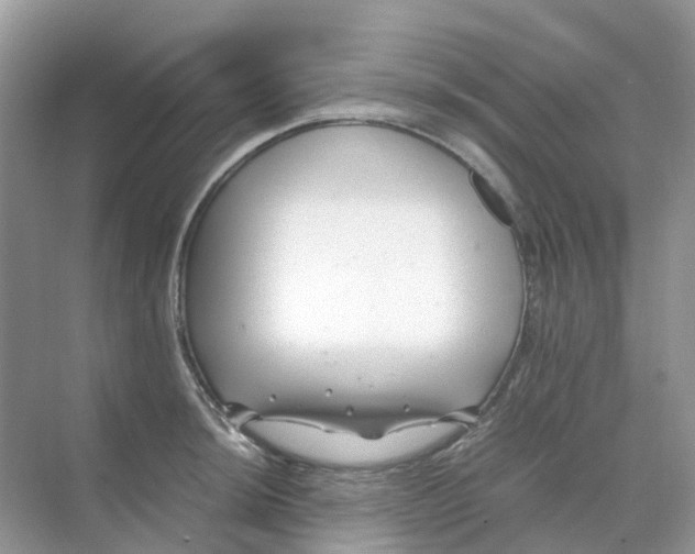 X0000070171044200606162051