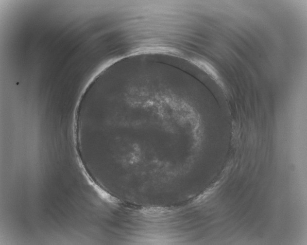 X0000070171046200606162051