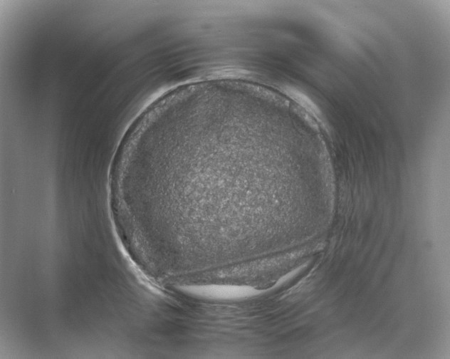 X0000070171047200606162051