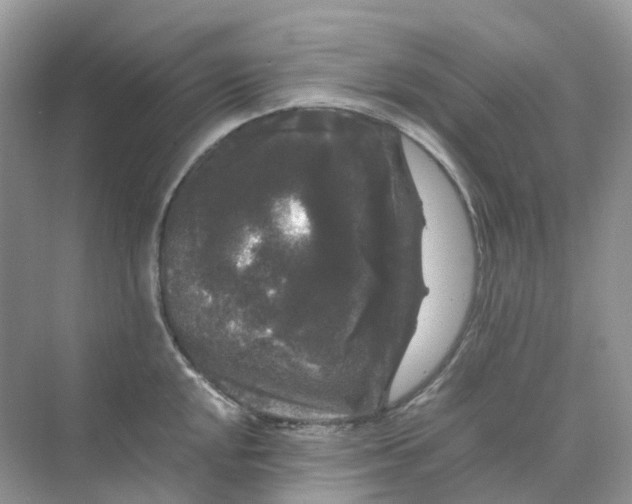 X0000070171048200606162051