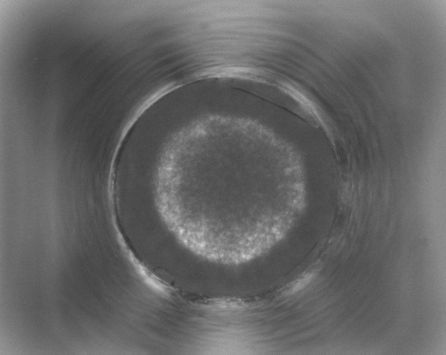 X0000070171050200606162051