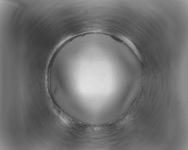 X0000070171051200606162051