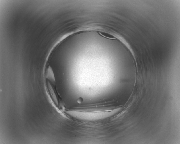 X0000070171053200606162051