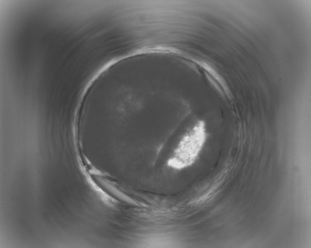 X0000070171054200606162051