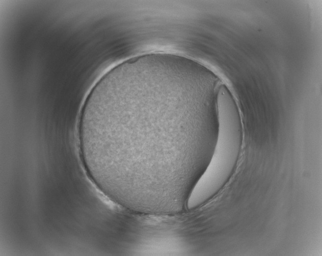 X0000070171056200606162051