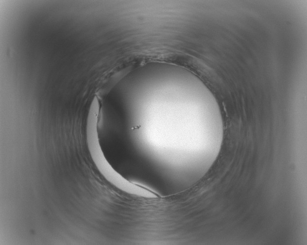 X0000070171058200606162050