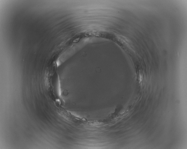 X0000070171060200606162050