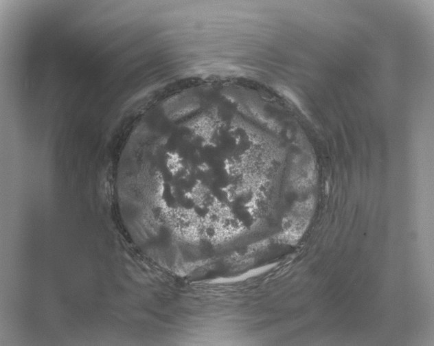 X0000070171063200606162050