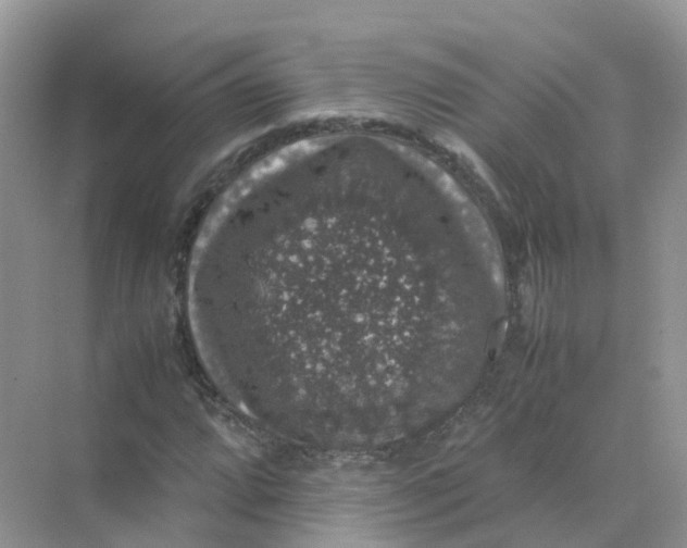 X0000070171064200606162050