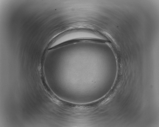 X0000070171065200606162050