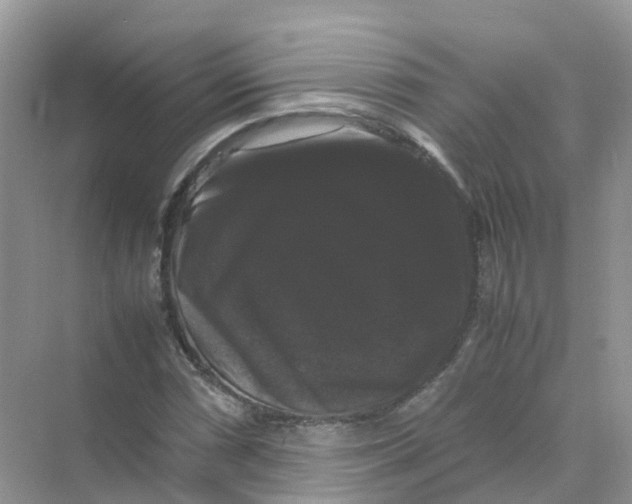 X0000070171066200606162050