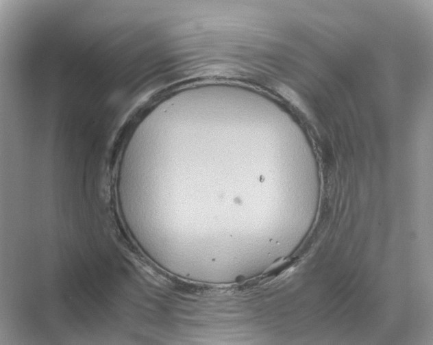 X0000070171067200606162050