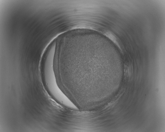 X0000070171068200606162050