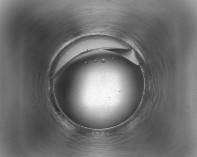 X0000070171069200606162050