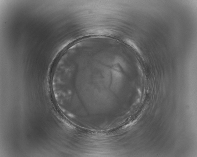 X0000070171071200606162050