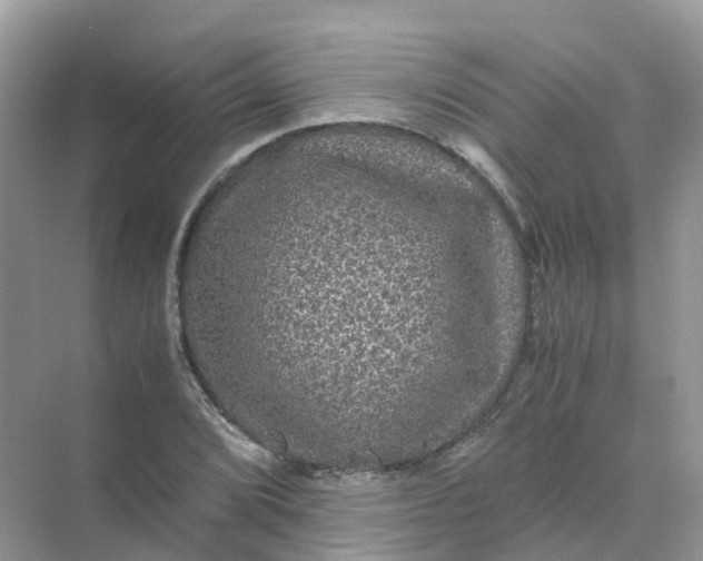 X0000070171072200606162050