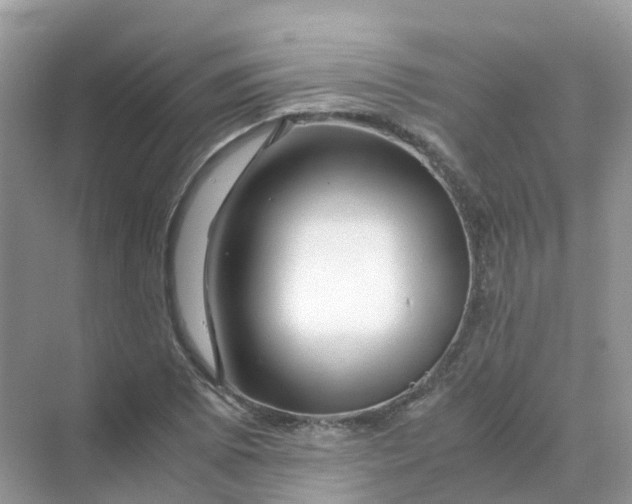 X0000070171073200606162050