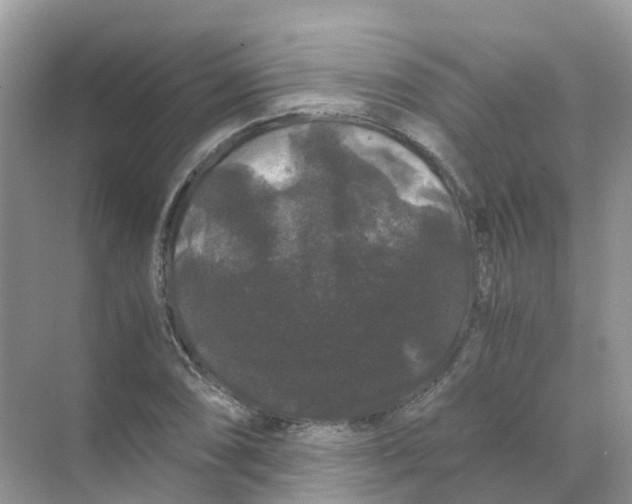 X0000070171074200606162050