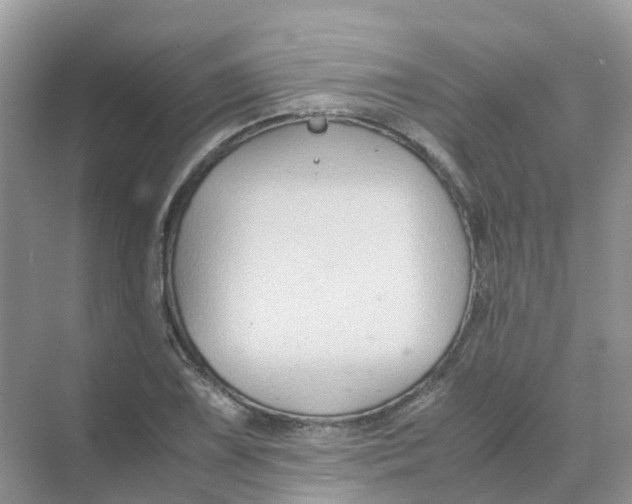 X0000070171075200606162050