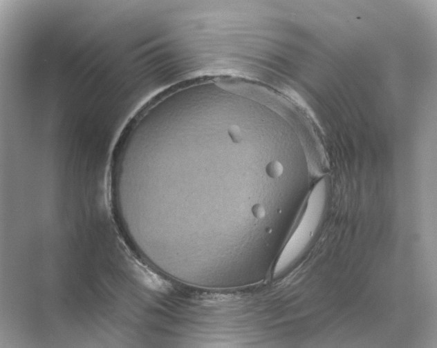 X0000070171076200606162050