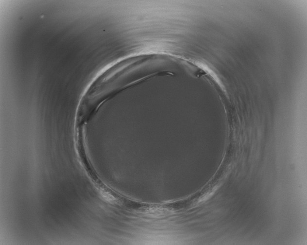 X0000070171077200606162050