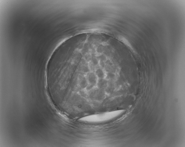 X0000070171079200606162050