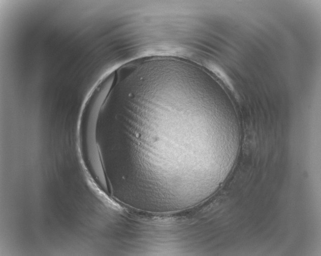 X0000070171080200606162050