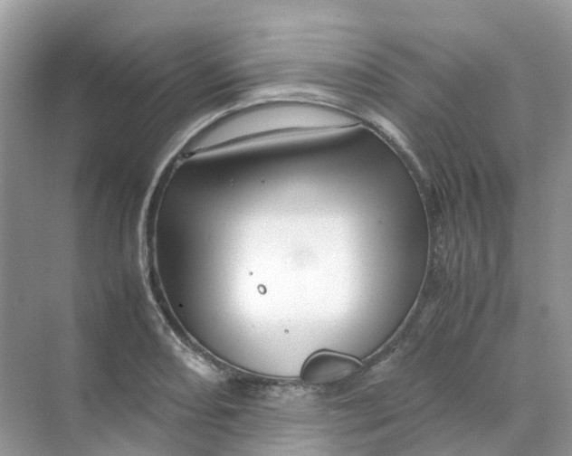 X0000070171082200606162050