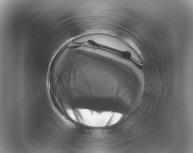 X0000070171084200606162050