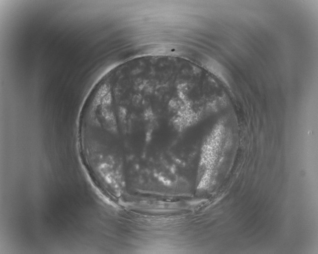 X0000070171087200606162050