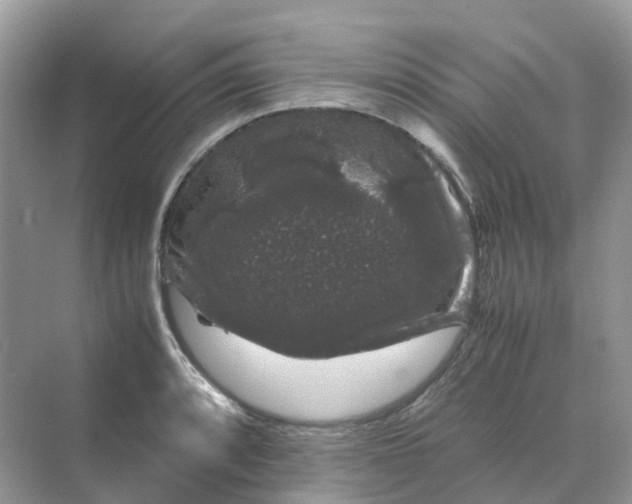 X0000070171088200606162050