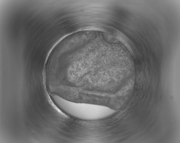 X0000070171092200606162049