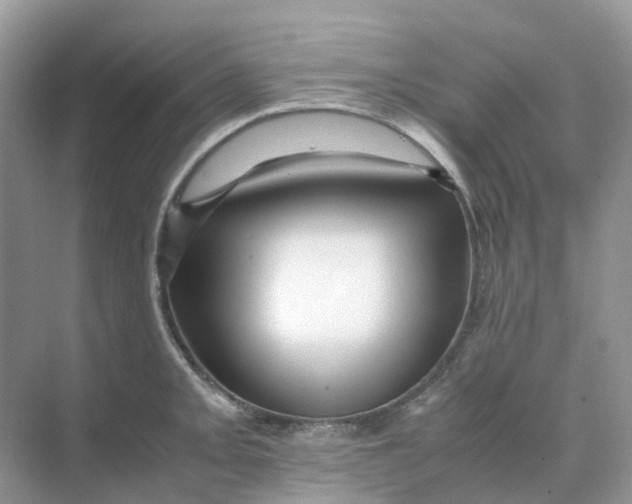 X0000070171093200606162049