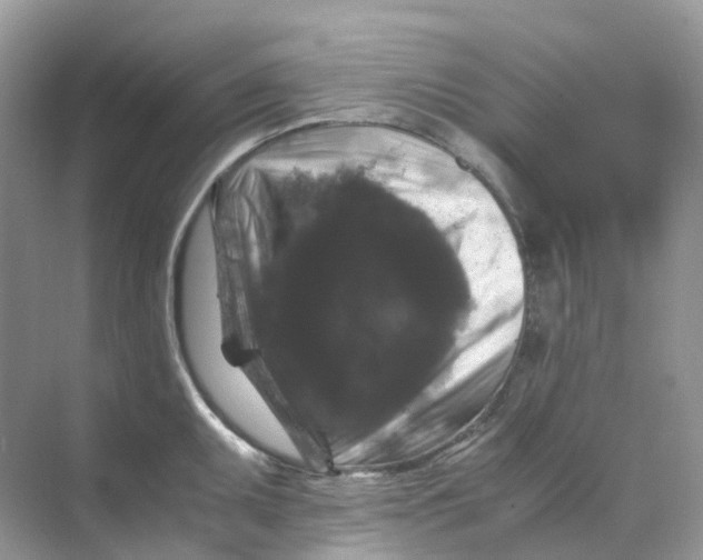 X0000070171095200606162049