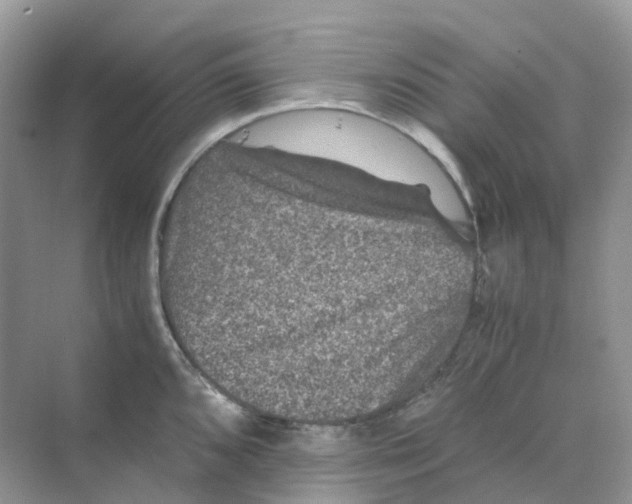 X0000070171096200606162049