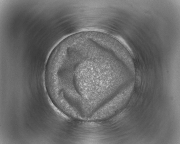 X0000070171100200606162049