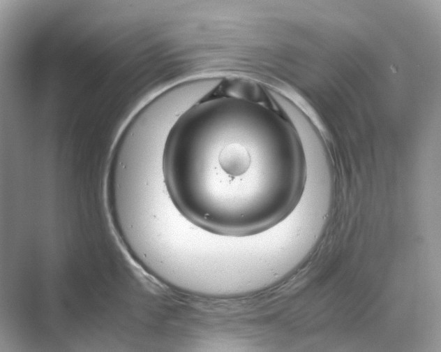 X0000070171101200606162049