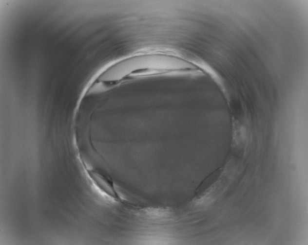 X0000070171102200606162049