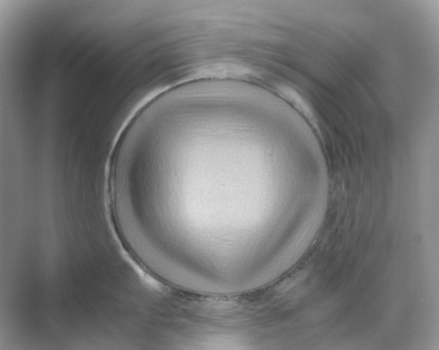 X0000070171103200606162049