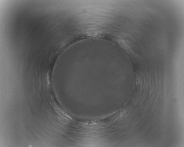 X0000070171106200606162048