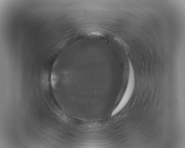 X0000070171108200606162049