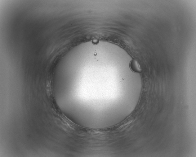 X0000070171109200606162049