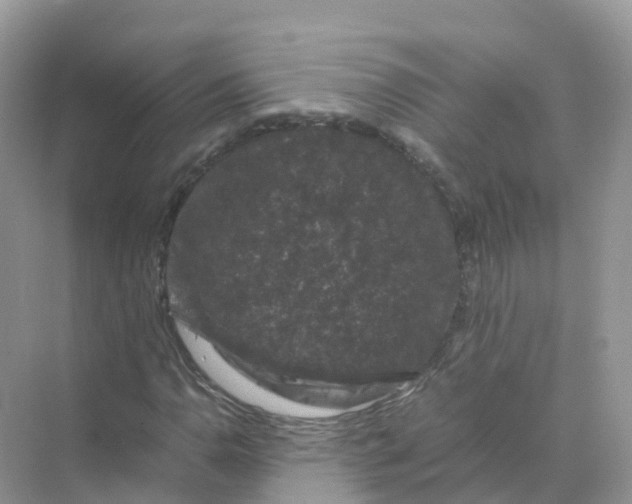 X0000070171110200606162049