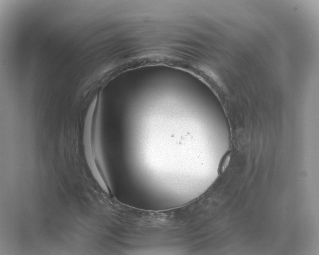 X0000070171111200606162049