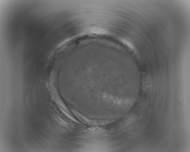 X0000070171112200606162049