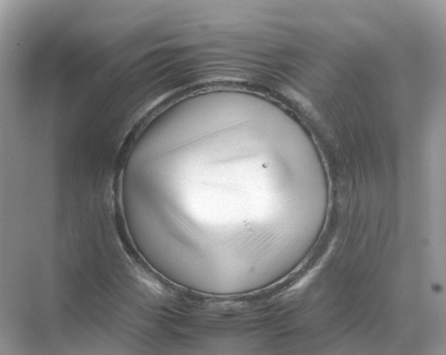 X0000070171113200606162049