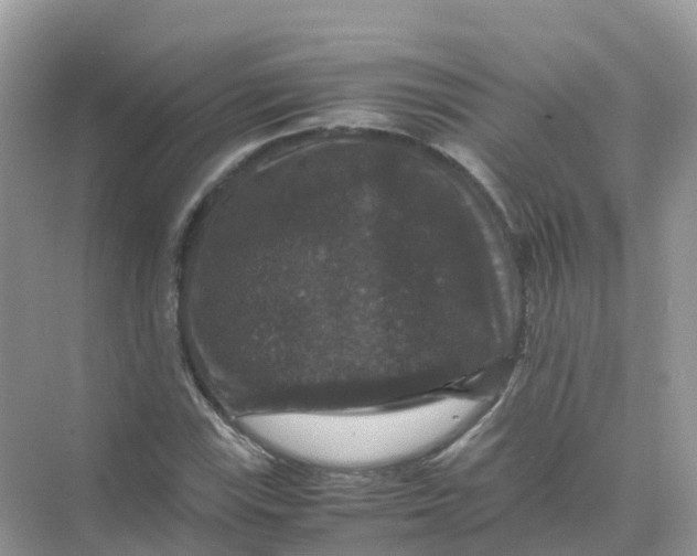 X0000070171115200606162049