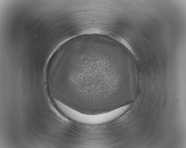 X0000070171116200606162049